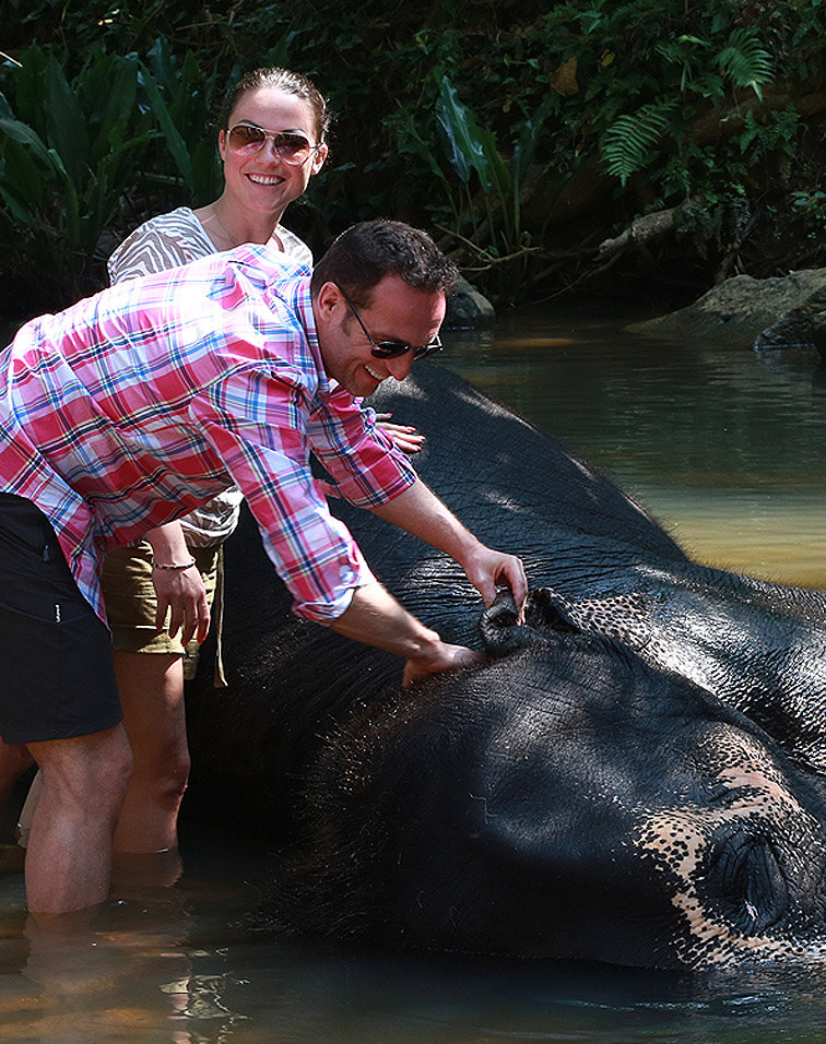 IDEAS FOR A Small group tours IN SRI LANKA